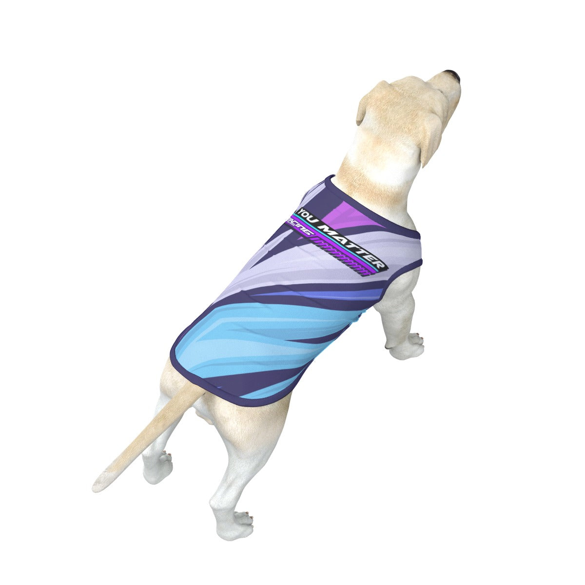 It's Kody B 'You Matter' Large Dog Tank Top
